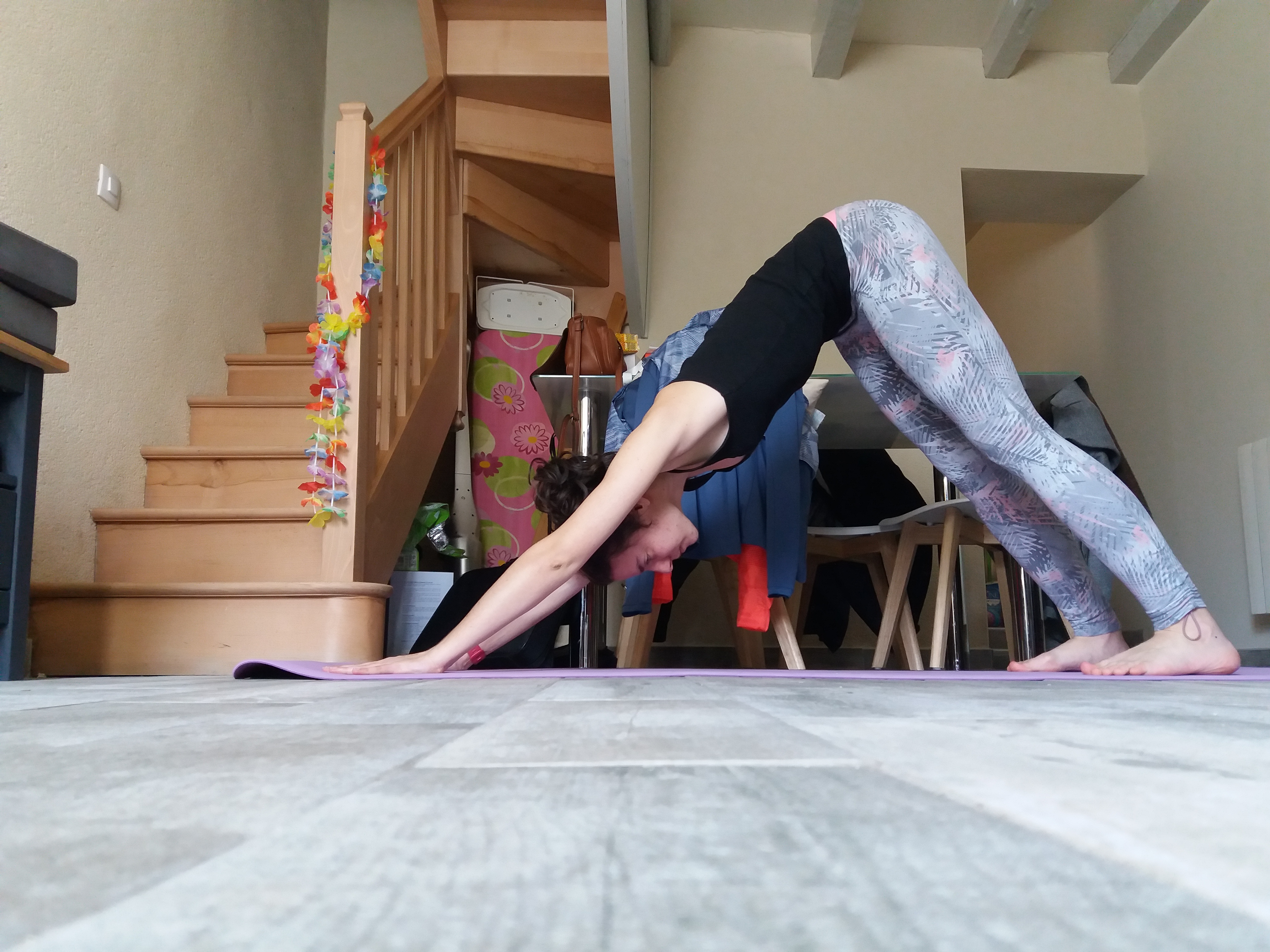 Chien tête en bas après 14 mois de yoga