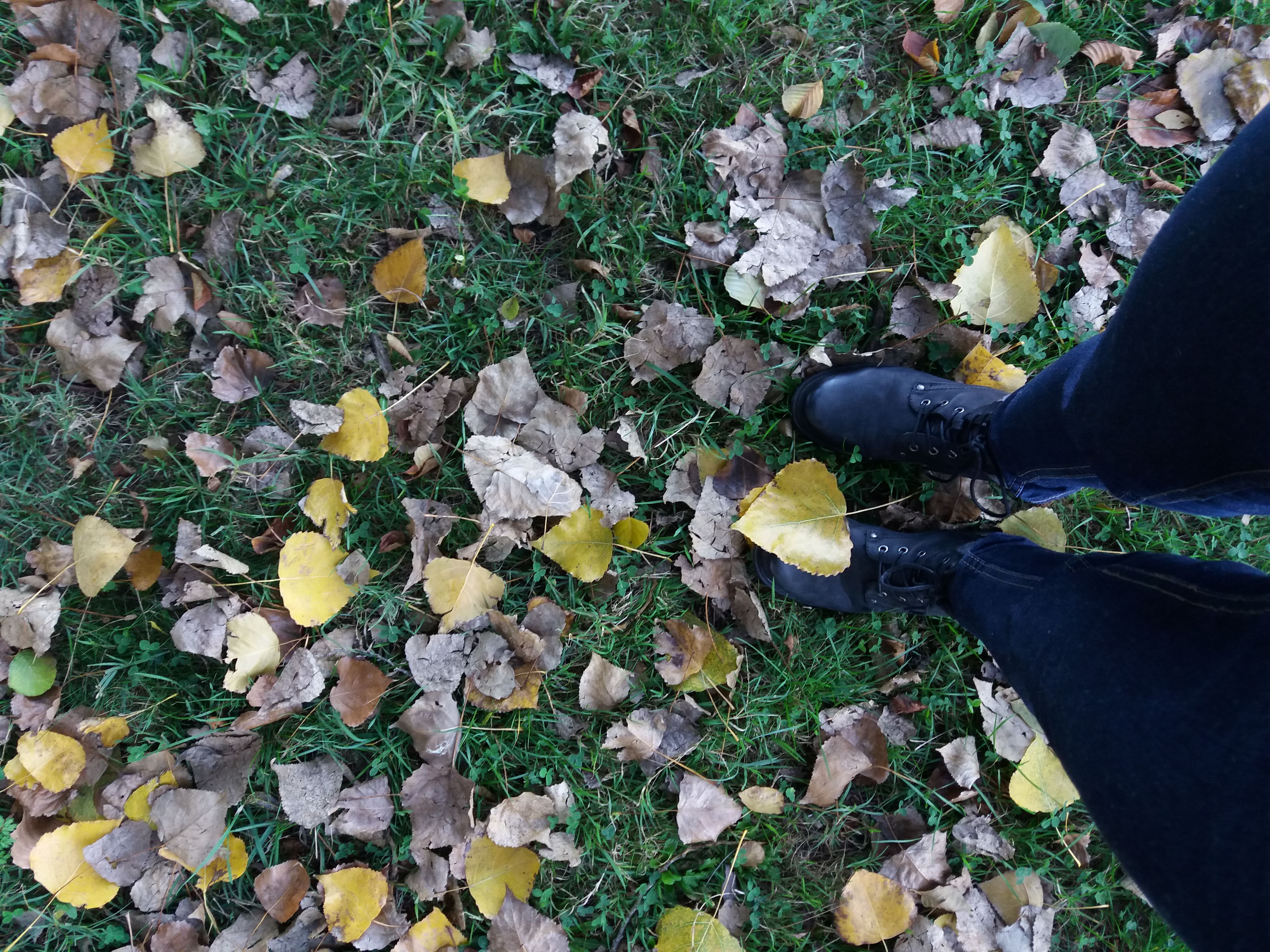 chaussure_balade