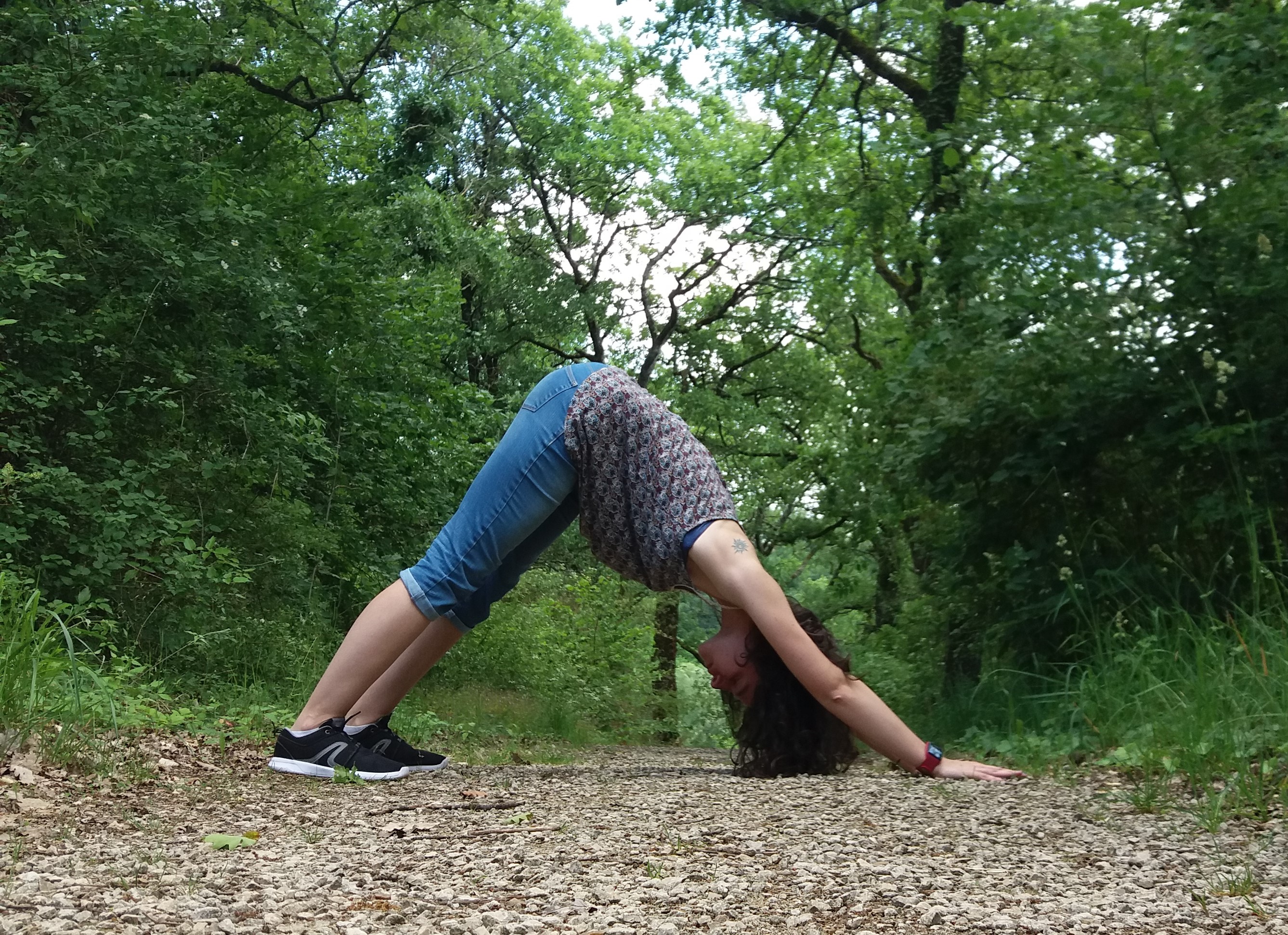yoga posture du chien tête en bas