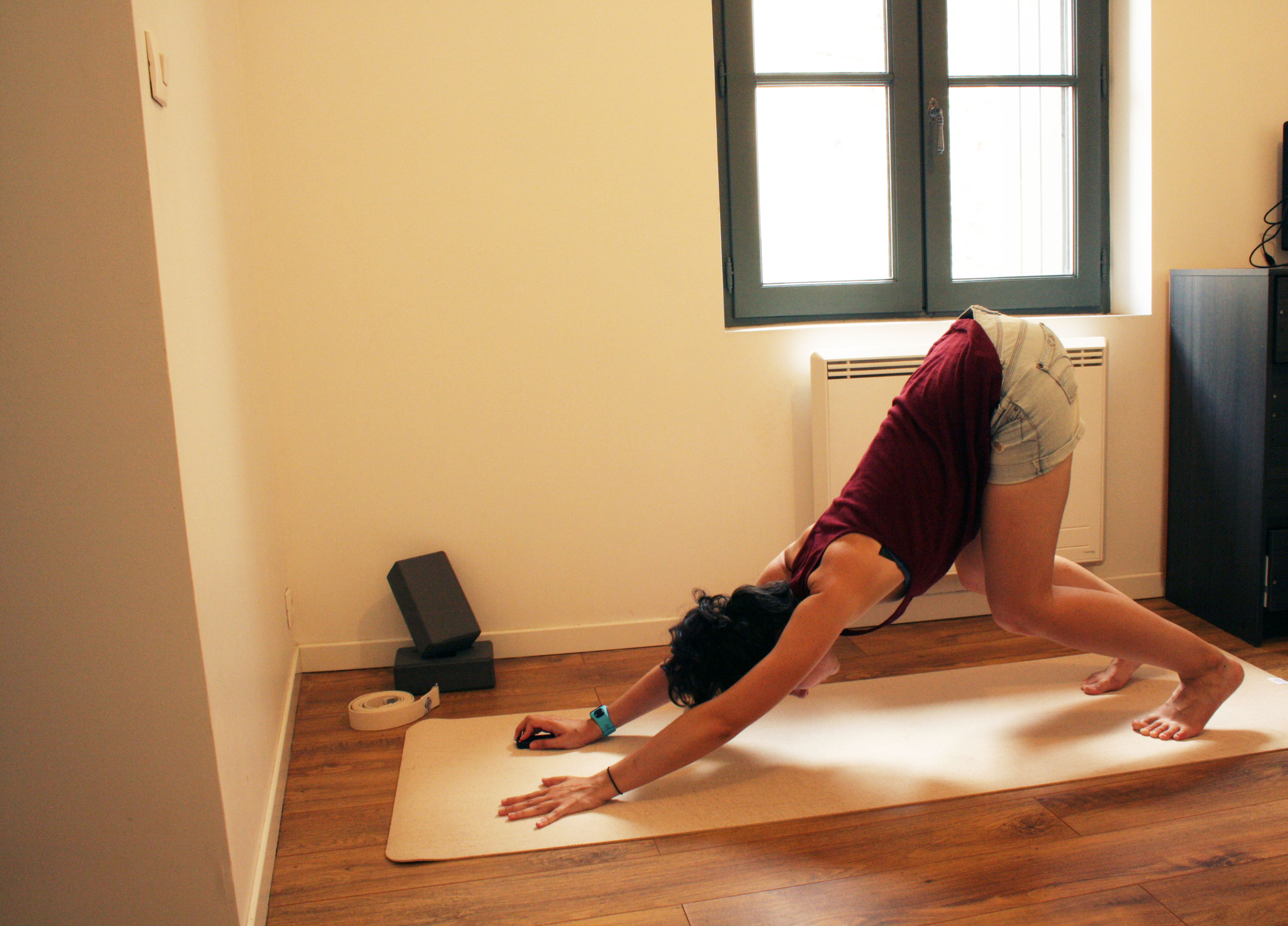 chien tête en bas evoluer dans sa pratique du yoga